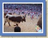 07 - July - Bulls - Kev * (57 Slides)